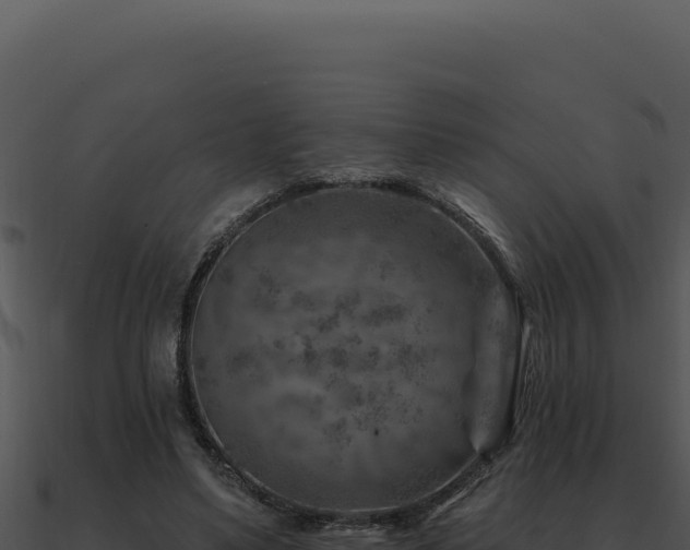 X0000091000491200708021604