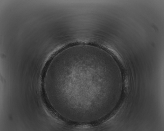 X0000091000492200708021604
