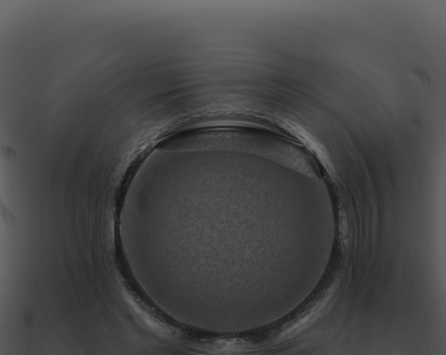 X0000091000493200708021604