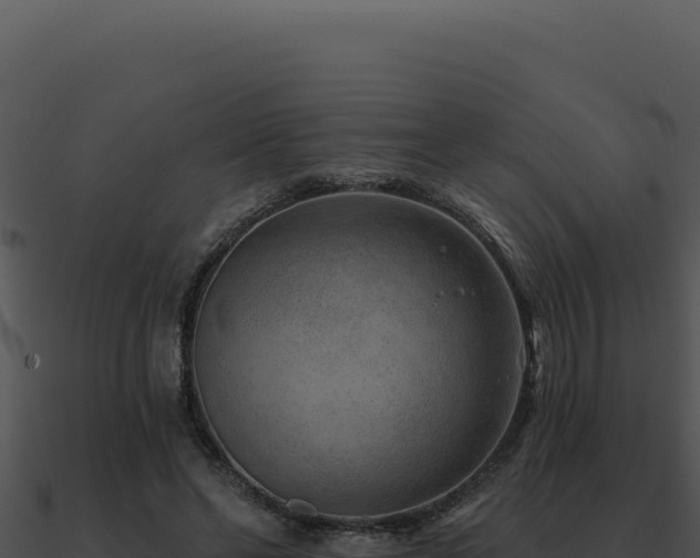X0000091000494200708021604