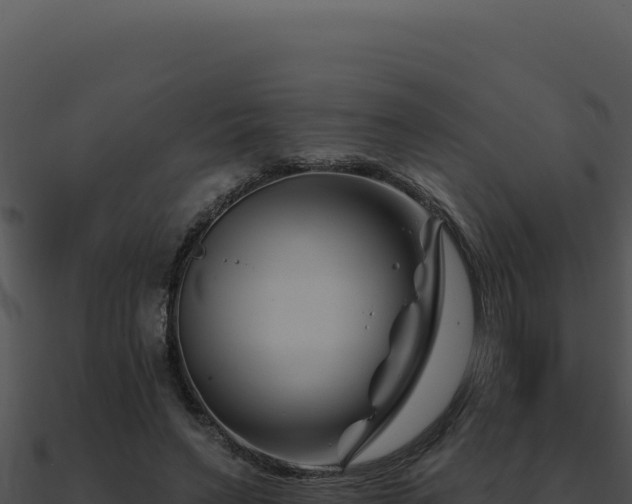 X0000091000495200708021604