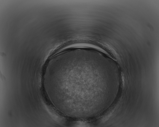 X0000091000496200708021604