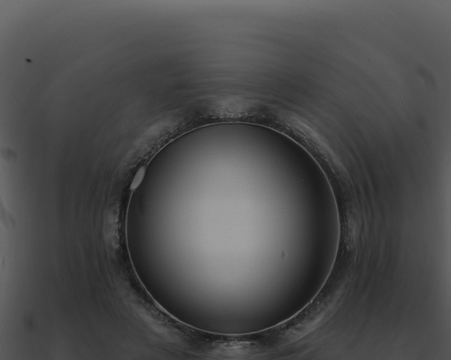 X0000091000497200708021604