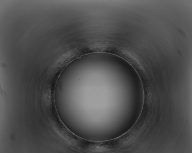 X0000091000498200708021604