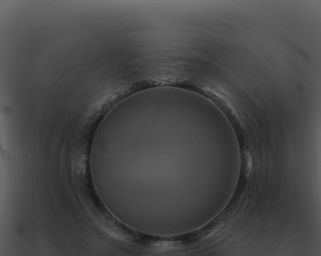X0000091000499200708021604