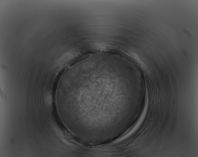 X0000091000500200708021604