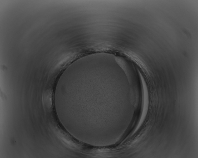 X0000091000501200708021604