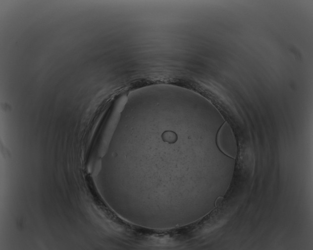 X0000091000502200708021604