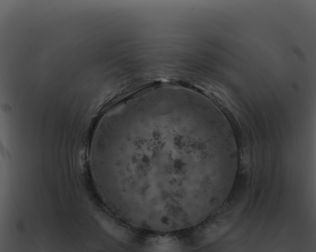 X0000091000503200708021604
