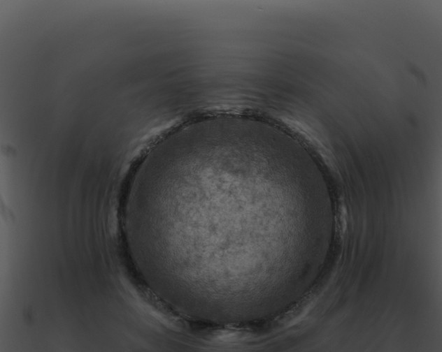 X0000091000504200708021603