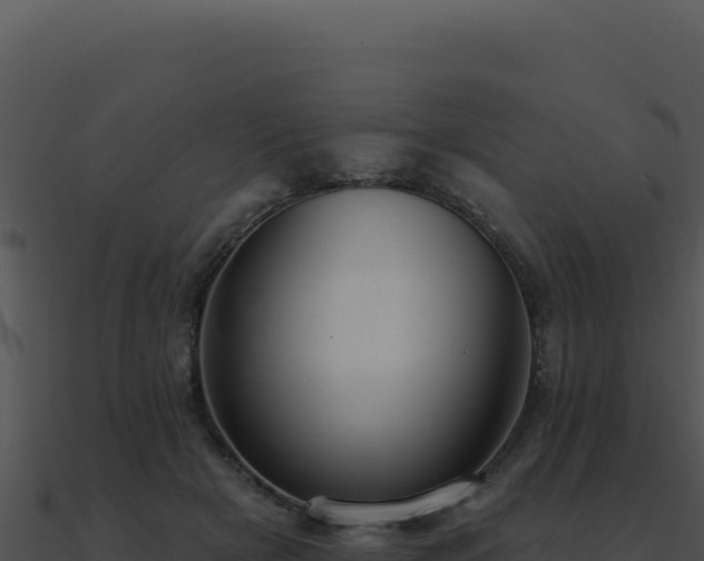 X0000091000505200708021603
