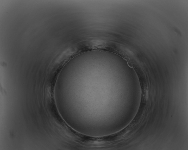 X0000091000506200708021603