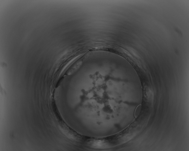 X0000091000507200708021603
