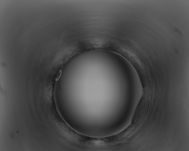 X0000091000509200708021603