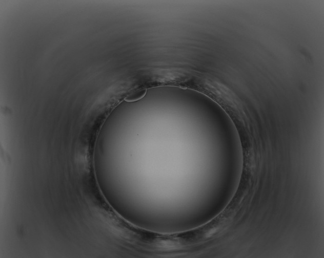 X0000091000510200708021603