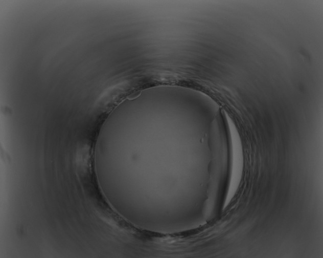X0000091000511200708021603