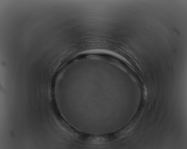 X0000091000512200708021603
