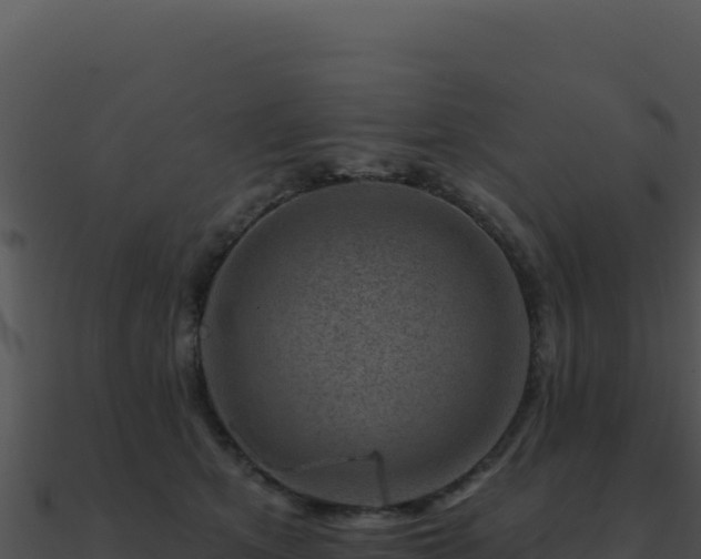 X0000091000513200708021603