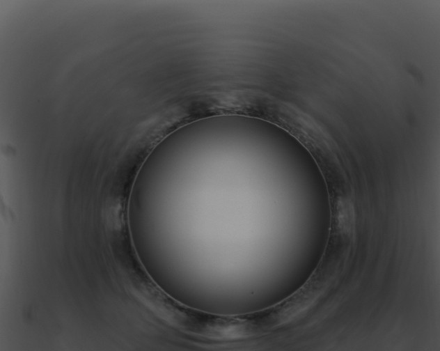 X0000091000514200708021603