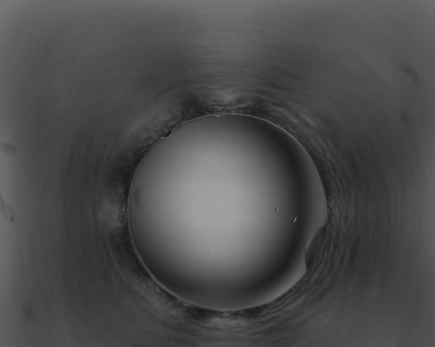 X0000091000515200708021603