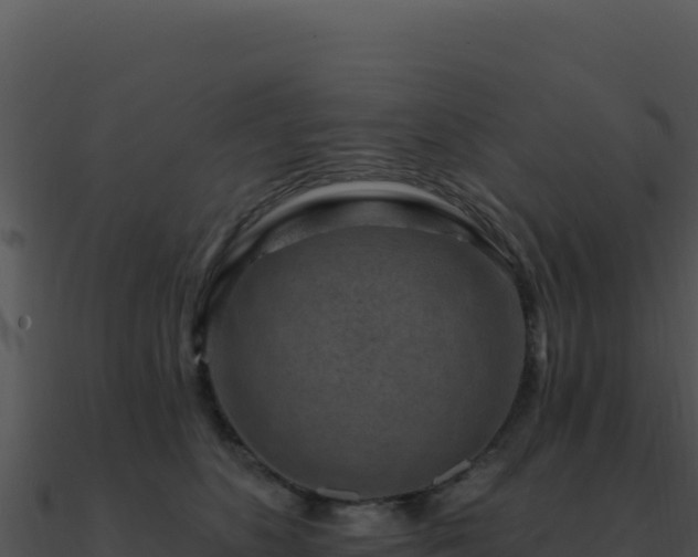 X0000091000516200708021603