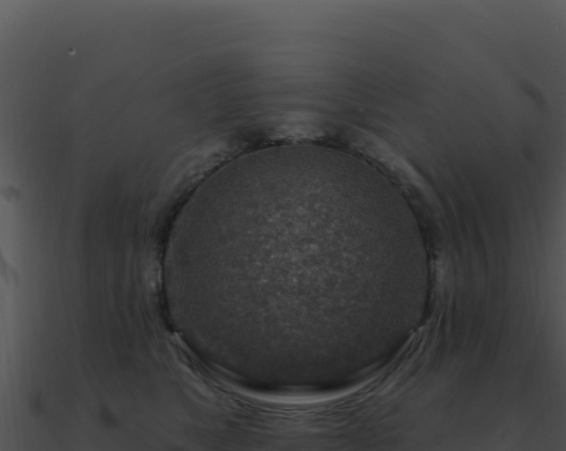 X0000091000517200708021603