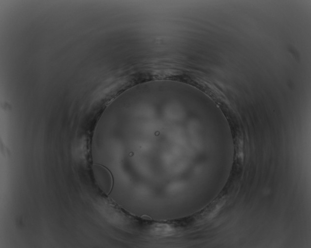 X0000091000519200708021603