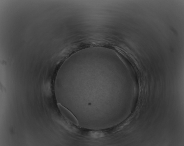 X0000091000520200708021603