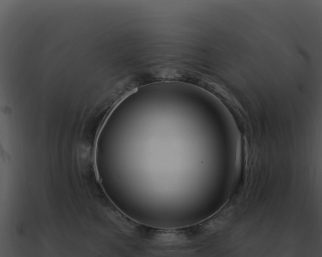 X0000091000521200708021603