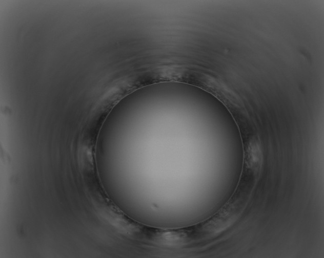 X0000091000522200708021603