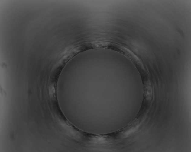 X0000091000523200708021603