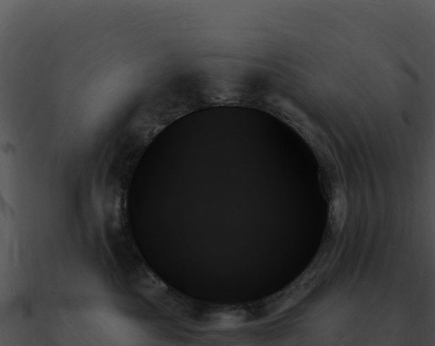 X0000091000525200708021603