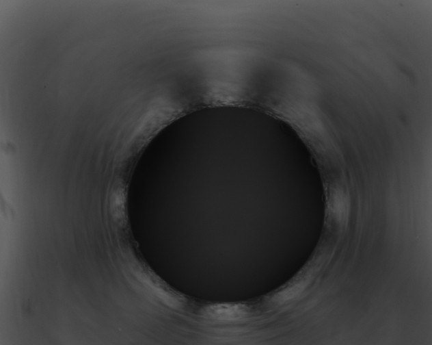 X0000091000526200708021603