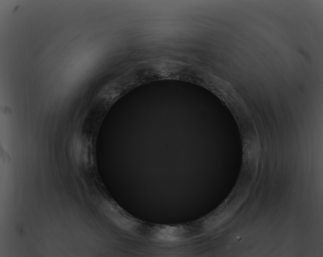 X0000091000527200708021603