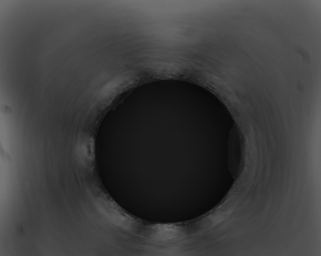 X0000091000528200708021603