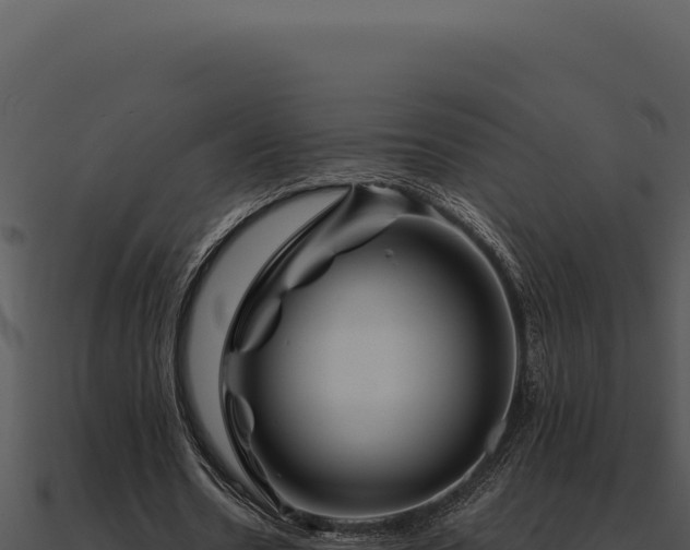 X0000091000530200708021602