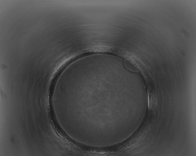 X0000091000531200708021602
