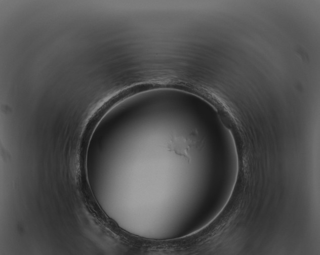 X0000091000532200708021602