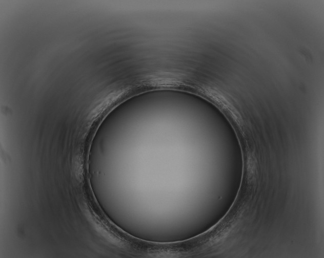 X0000091000533200708021602
