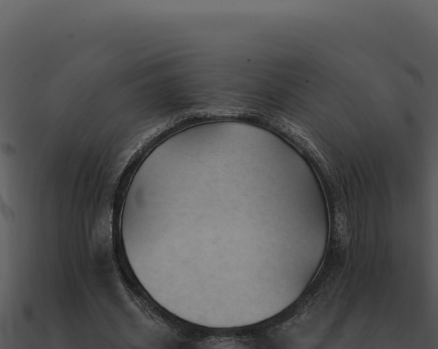 X0000091000534200708021602