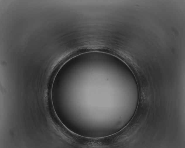 X0000091000535200708021602