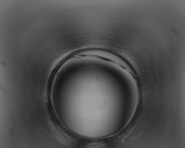 X0000091000536200708021602