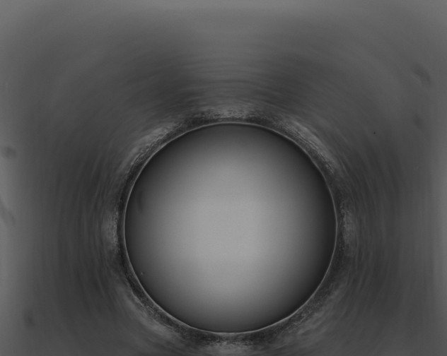 X0000091000537200708021602