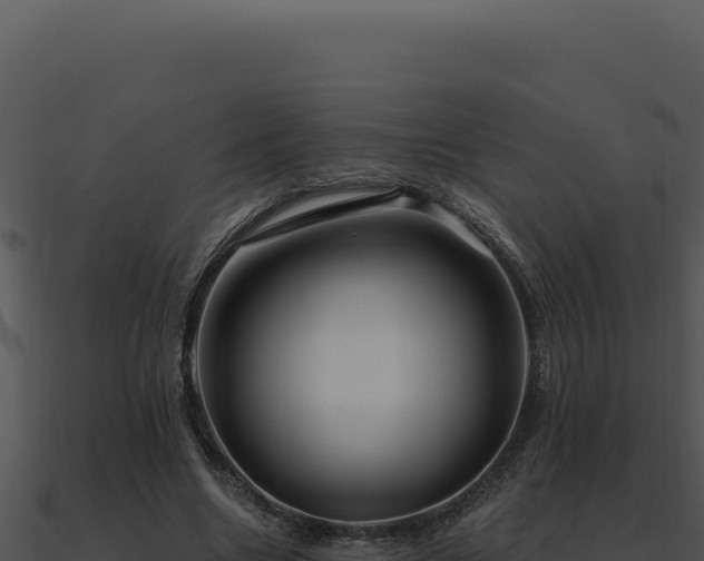X0000091000538200708021602