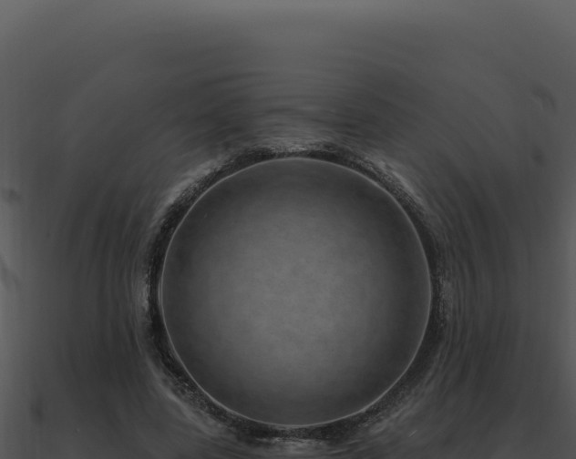 X0000091000539200708021602