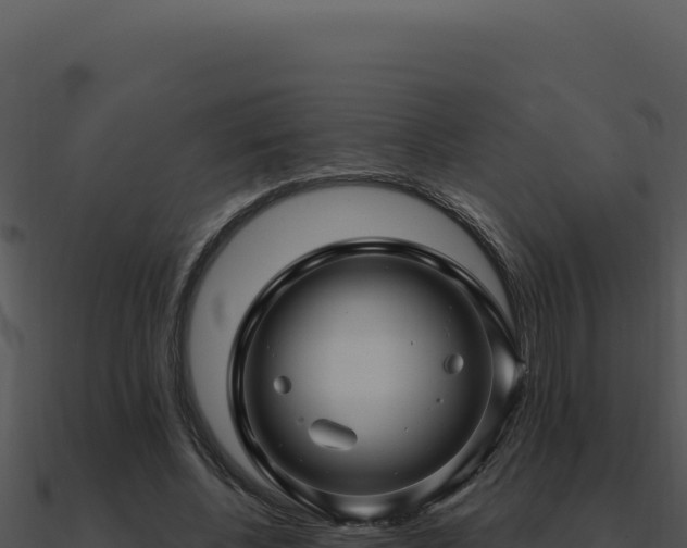 X0000091000540200708021602