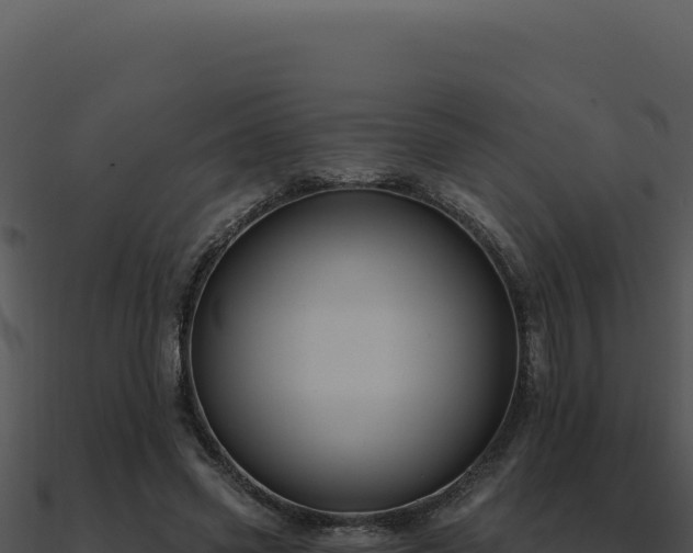 X0000091000541200708021602