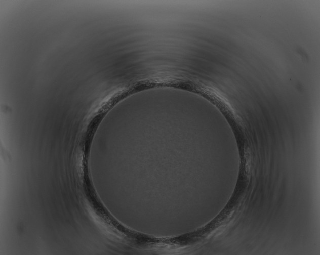 X0000091000542200708021602