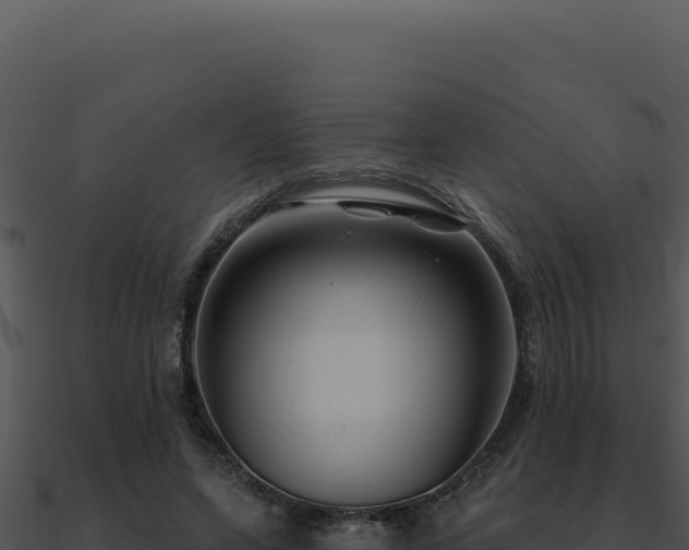 X0000091000543200708021602