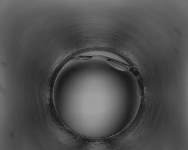 X0000091000544200708021602